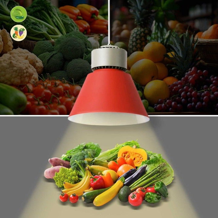 Lámpara colgante LED de 36 W para frutas y verduras - KeGu Driver