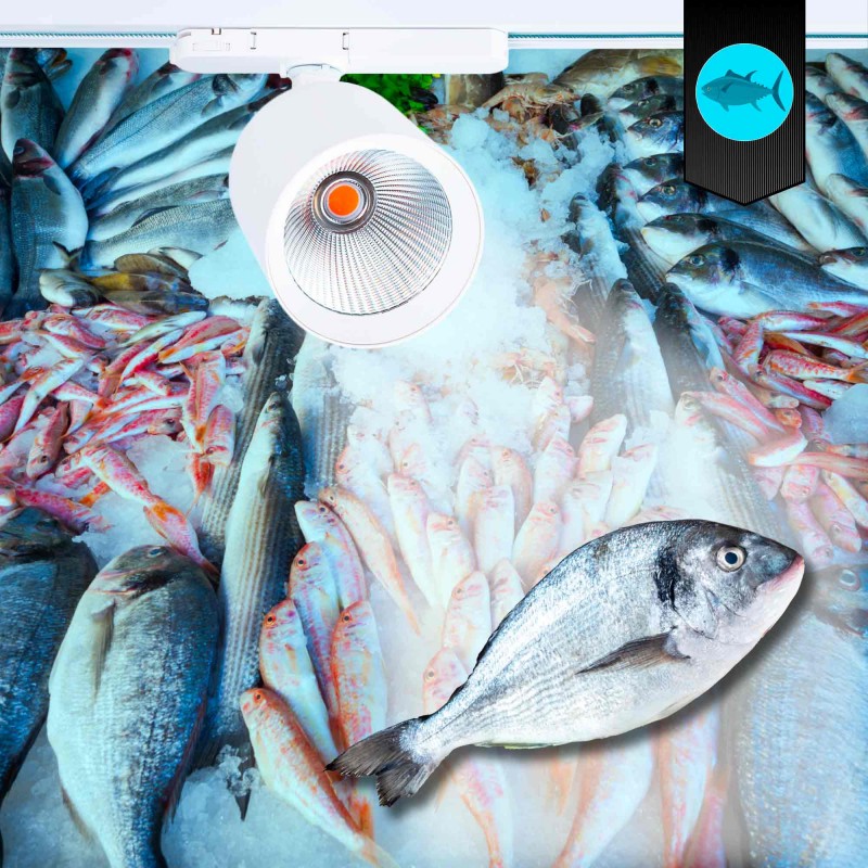 Spot LED 40W pour rail triphasé - Poissons et fruits de mer - Driver Philips Xitanium