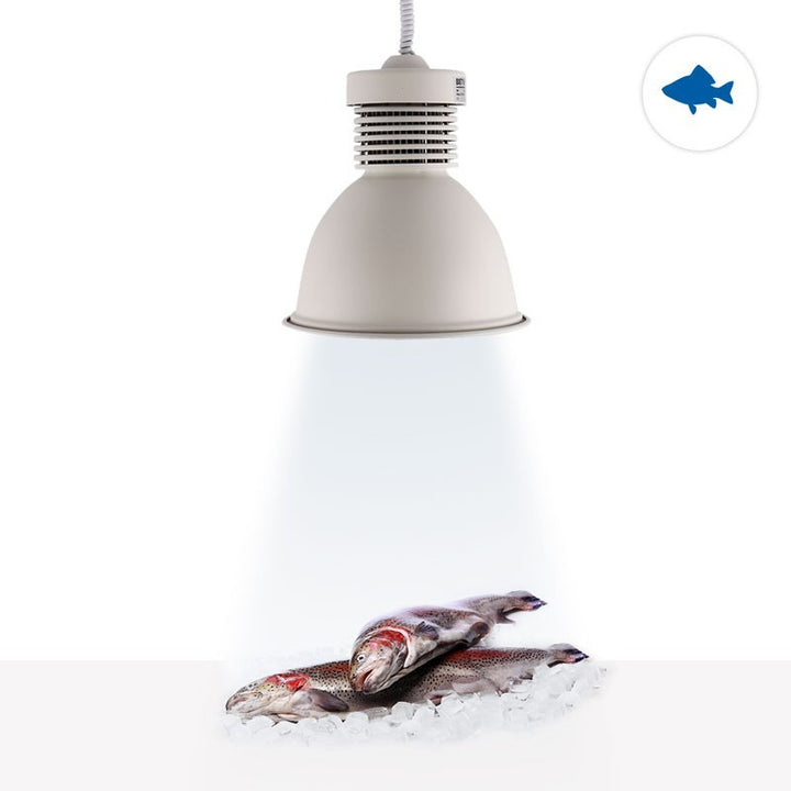 Cloche LED 36W spéciale poissonnerie