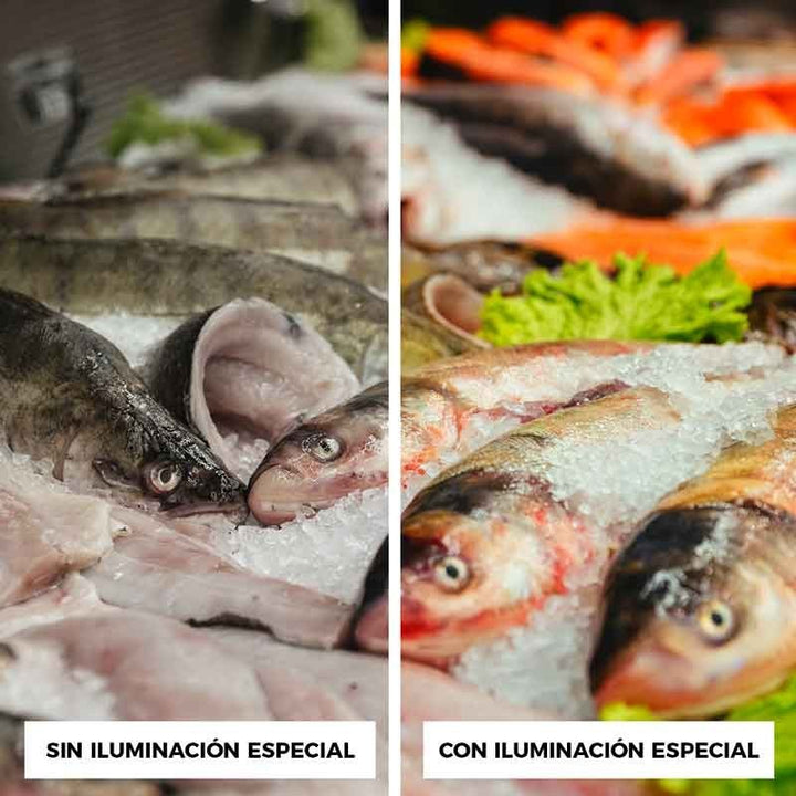 Campana LED 36W especial pescaderías