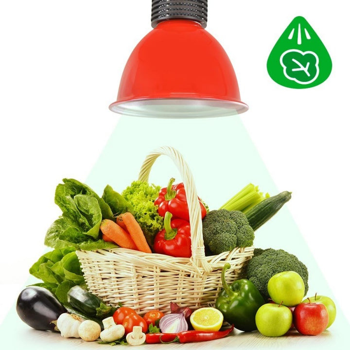 Campana LED 30W especial para verduras