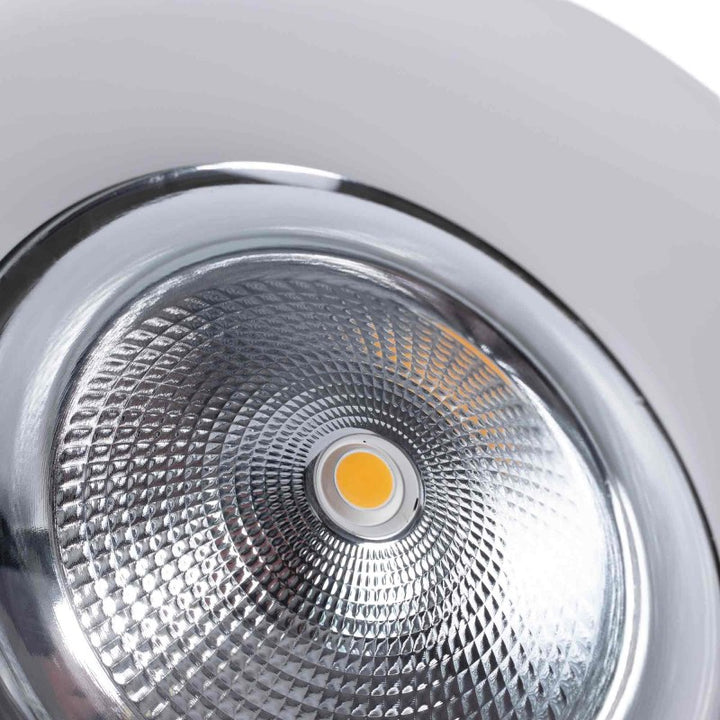 Spot LED encastrable spécial boucherie - 44W - Driver Philips - Coupe Ø210 mm