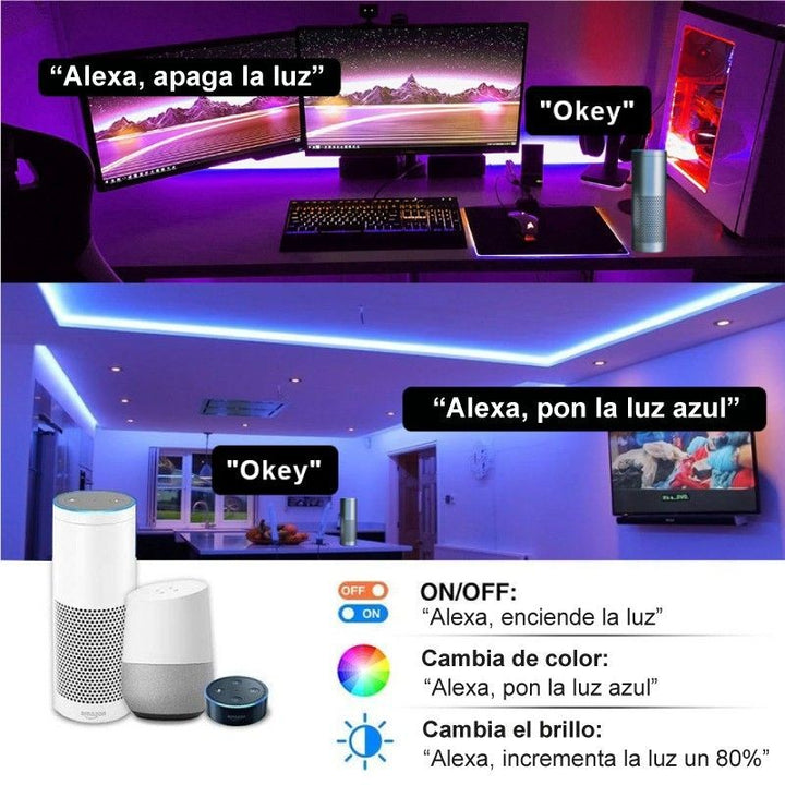 Controlador LED RGB WIFI SMART+ 12/24V 3 canales