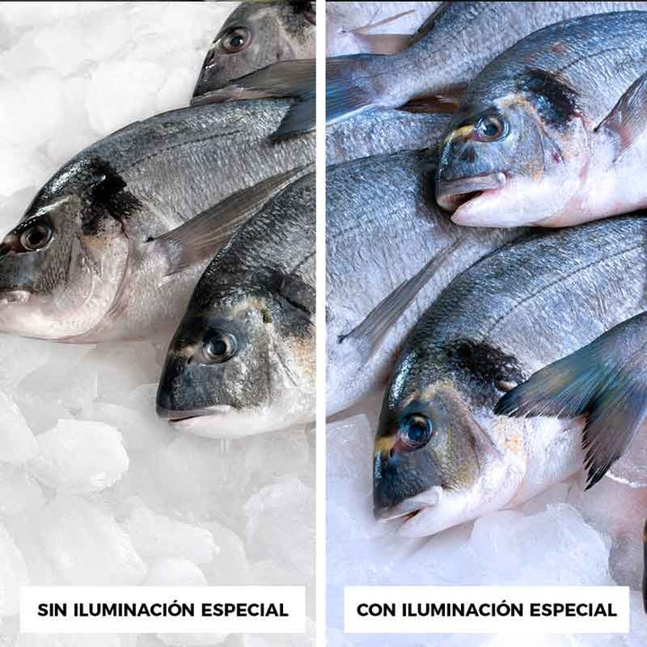 Campana LED 36W especial pescaderías