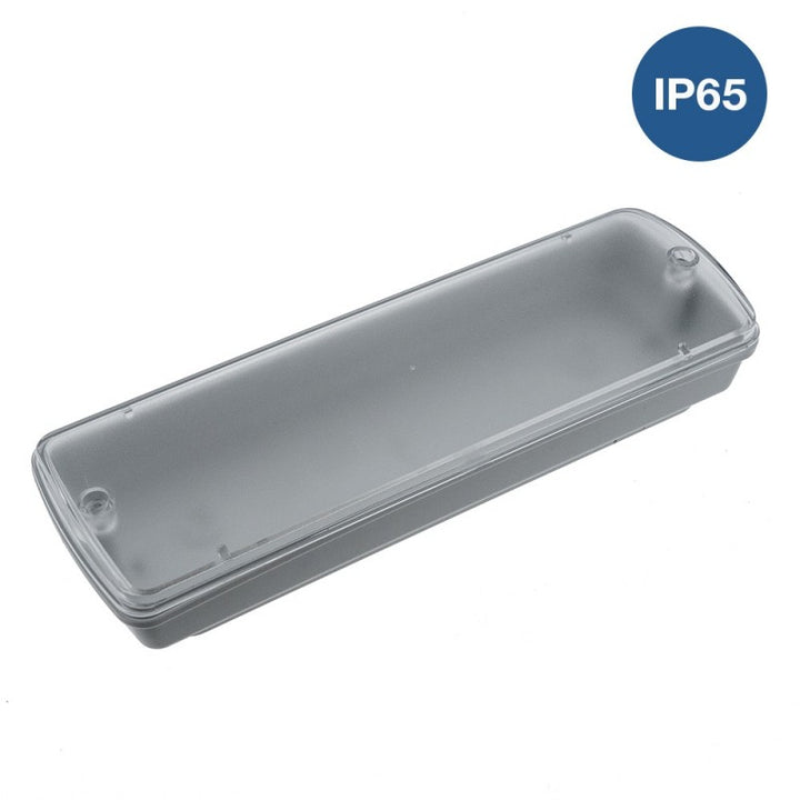 Caja de superficie impermeable para unidad de emergencia - IP65