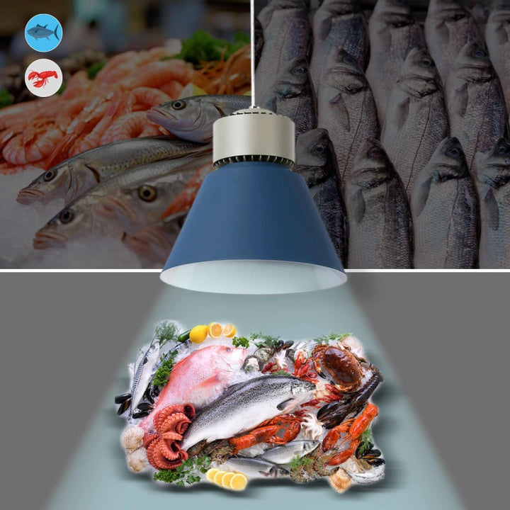 Suspension LED 36W spéciale poissons et fruits de mer - Driver KeGu