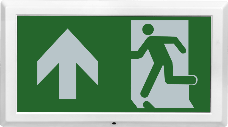 Señal de salida de emergencia Luceco Tempus con flecha hacia arriba, iluminación de emergencia DALI, 100 lúmenes, 8 W