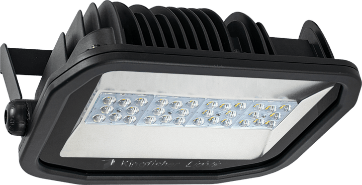 Foco de exterior Guardian Pro de Luceco, estándar, 12 500 lúmenes, 100 W