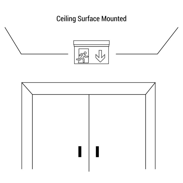 Unidad de iluminación de seguridad autónoma con pictograma "SALIDA HACIA ABAJO" - Suspensión