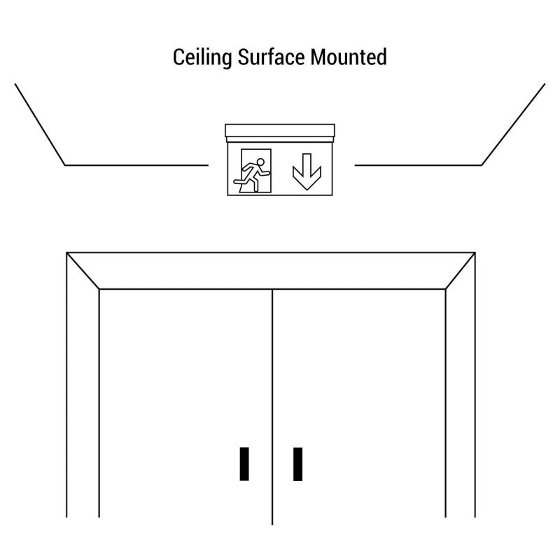 Bloc autonome d'éclairage de sécurité avec pictogramme "TOILETTES" - Suspension