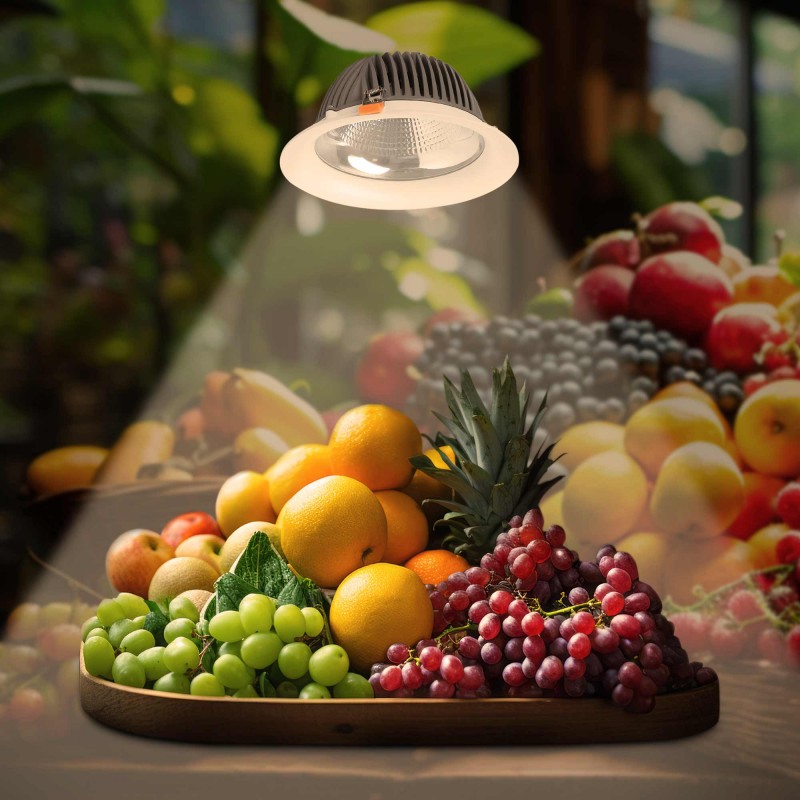 Foco LED empotrable para frutas y verduras - 44W - Corte Ø210 mm