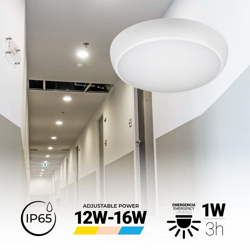 Plafón LED estanco / iluminación de emergencia - CCT - Potencia regulable 12W-16W - Ø31cm - IP65